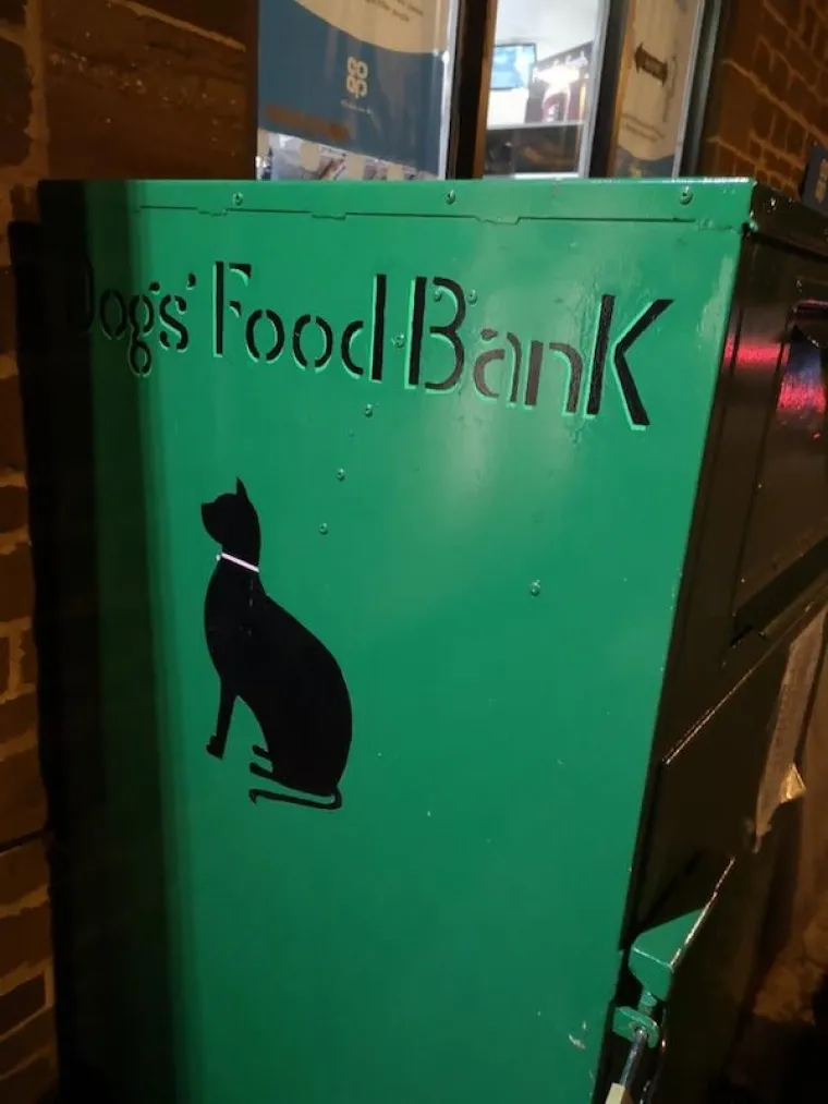 PA &Scaron;TO IM JE U GLAVI? Zbog ovih 13 genijalaca odmah ćete se osjećati lak&scaron;e zbog one svoje gluposti koju ste napravili