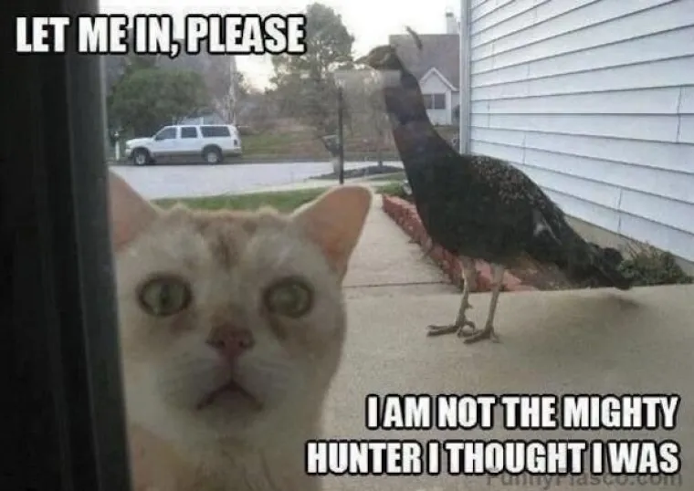 IMATE LO&Scaron; DAN? NADAMO SE DA NIJE BA&Scaron; TAKO LO&Scaron; KAO NJIHOV: Evo vam dokaza da je početak tjedna svima koma