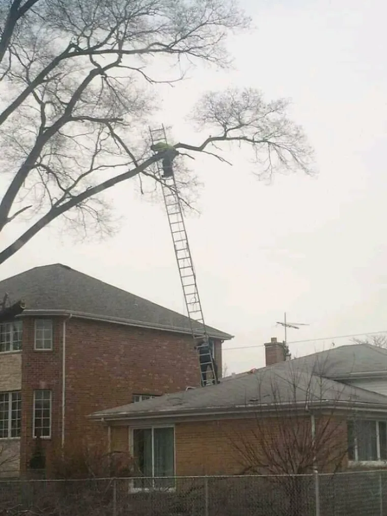 reddit/OSHA