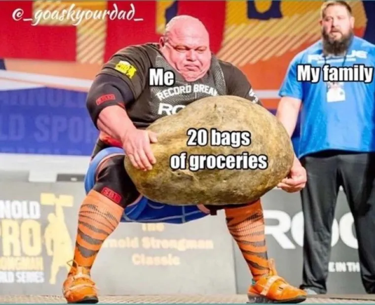 KAKO SE FRAJERI SNALAZE U BRAČNIM VODAMA? Ako je suditi prema ovim urnebesnim memovima, ne baš najbolje