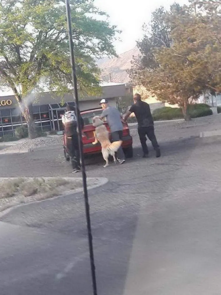 POPRAVIT ĆEMO VAM DAN U PAR KLIKOVA: Ovo su najzabavnije fotografije koje smo vidjeli ovaj tjedan