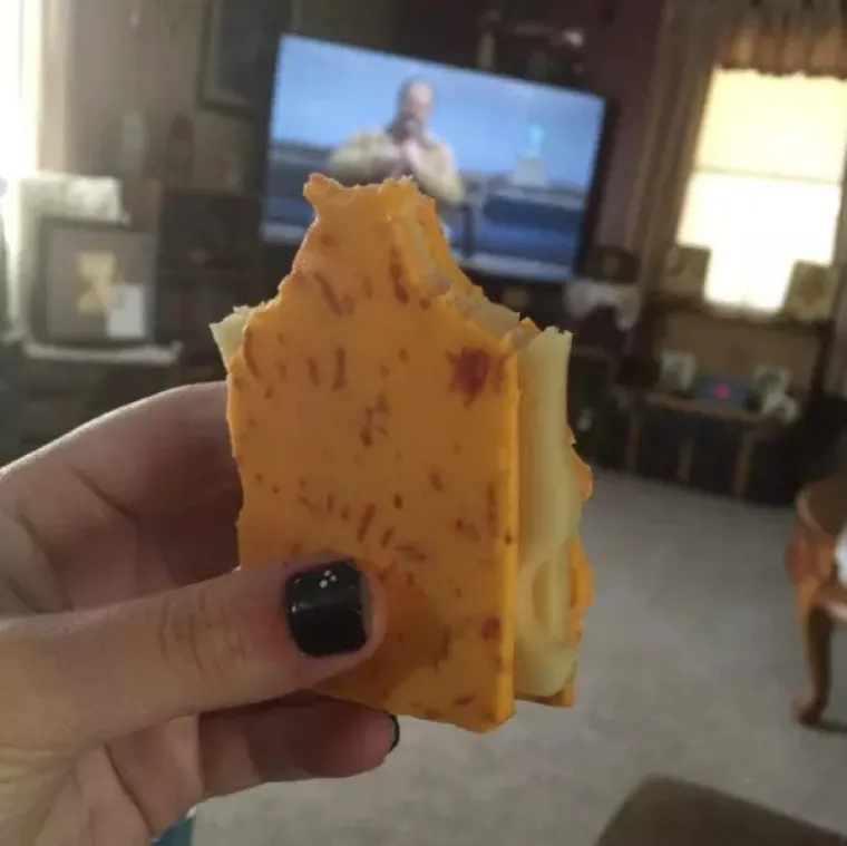 MAME &Scaron;OKIRANO POKAZALE &Scaron;TO NJIHOVA DJECA JEDU: Jesu li ovo najveće lijenčine u povijesti?