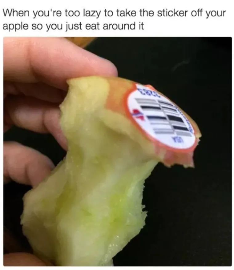 MAME &Scaron;OKIRANO POKAZALE &Scaron;TO NJIHOVA DJECA JEDU: Jesu li ovo najveće lijenčine u povijesti?