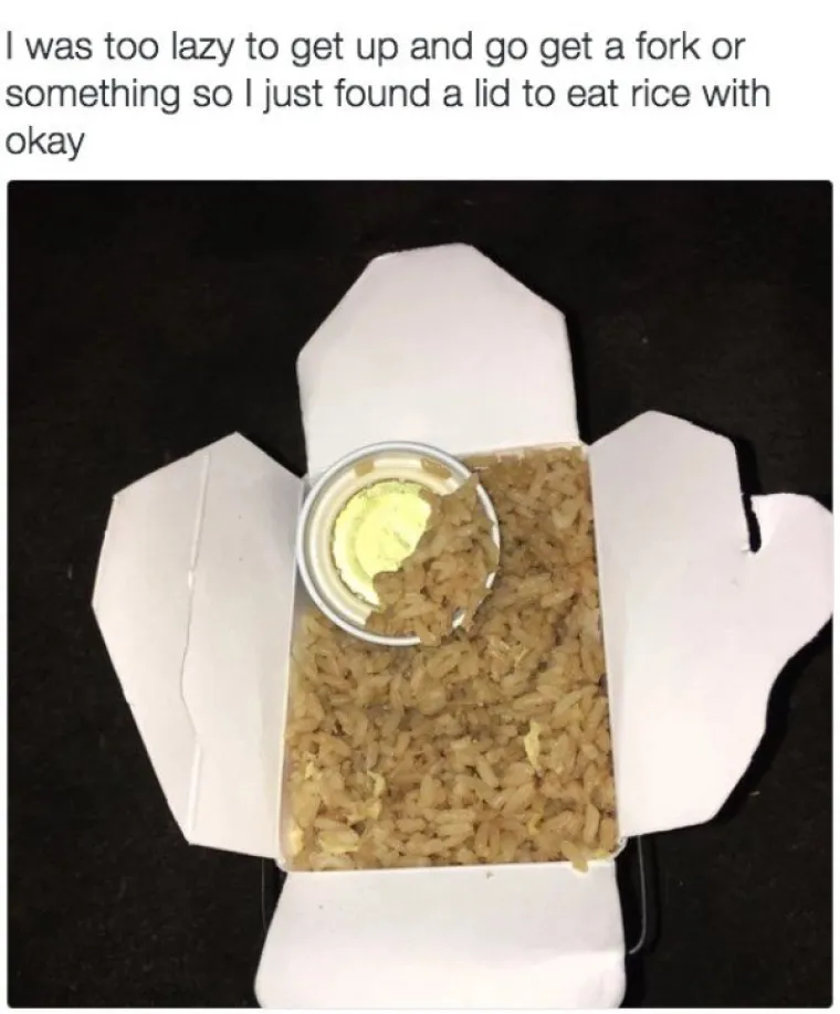 MAME &Scaron;OKIRANO POKAZALE &Scaron;TO NJIHOVA DJECA JEDU: Jesu li ovo najveće lijenčine u povijesti?