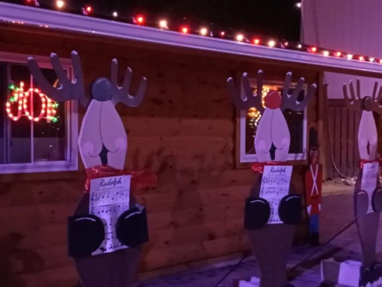 BOŽIĆ JE VEĆ IDUĆI MJESEC, ALI KAOS MOŽE POČETI I DANAS: Ovo su najurnebesniji 'failovi' pro&scaron;logodi&scaron;njih blagdana