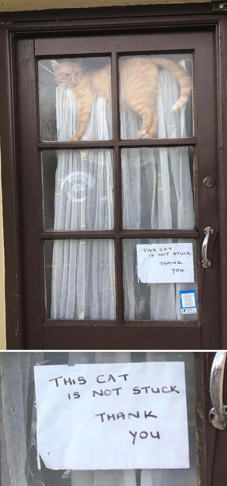 Zamislite da ste vlasnike ove kuće...