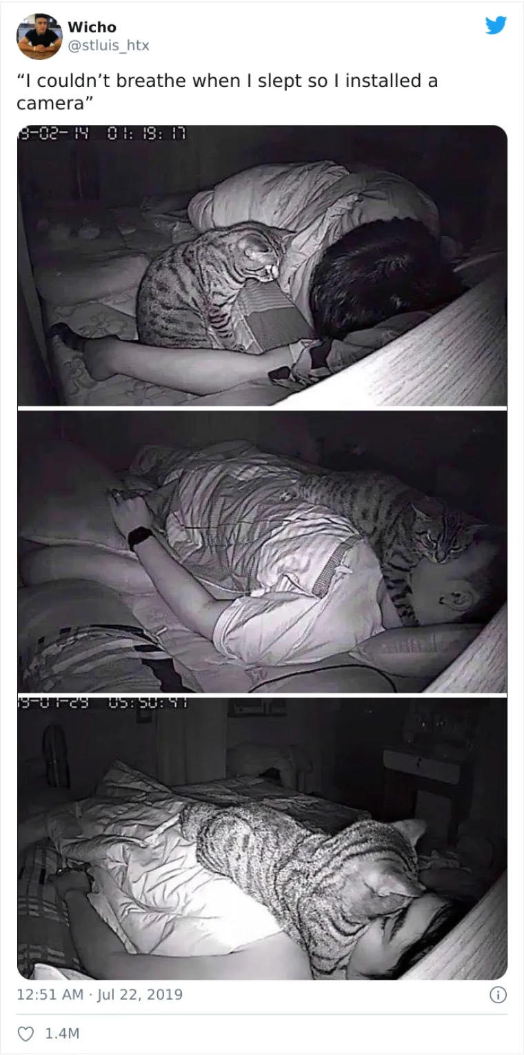 Kaže čovjek da je imao problema s disanjem u snu pa je instalirao kameru. Svi problemi su odmah postali jasni.