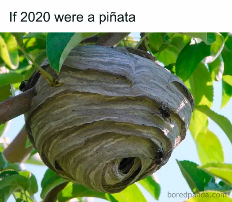 &ldquo;Da je 2020. pivo&hellip;&rdquo;: Pogledajte urnebesne memove na račun ove godine