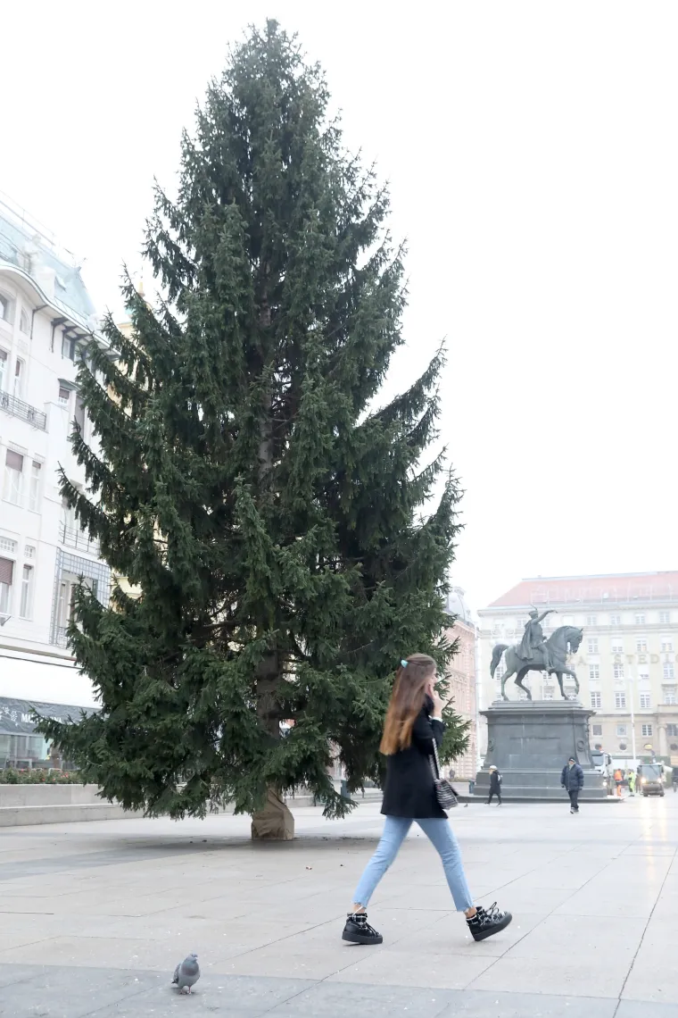 Bolji od onog iz New Yorka: Na glavnom zagrebačkom trgu postavljen bor