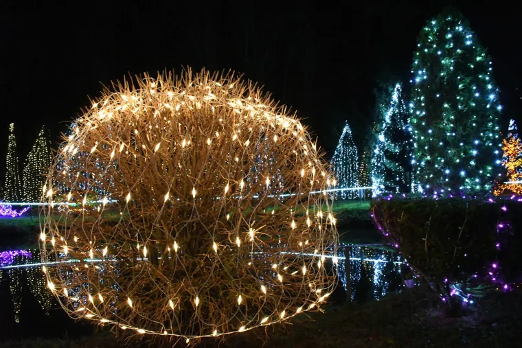 Pet milijuna lampica ipak neće zasjati: Otkazana je Božićna bajka obitelji Salaj