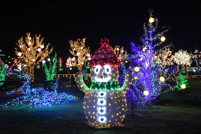 Pet milijuna lampica ipak neće zasjati: Otkazana je Božićna bajka obitelji Salaj