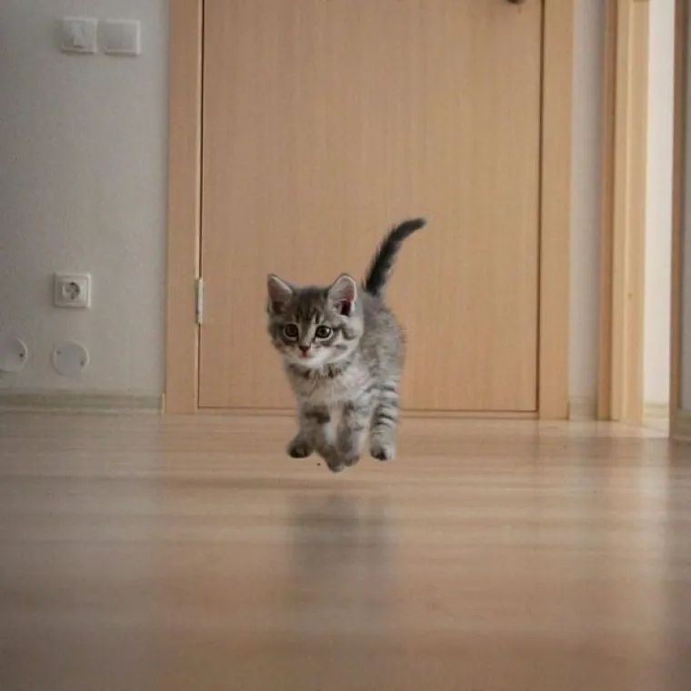 VLASNICI POKAZALI KAKO SU IZGLEDALE NJIHOVE DLAKAVE BEBE: Postoji li ne&scaron;to slađe?