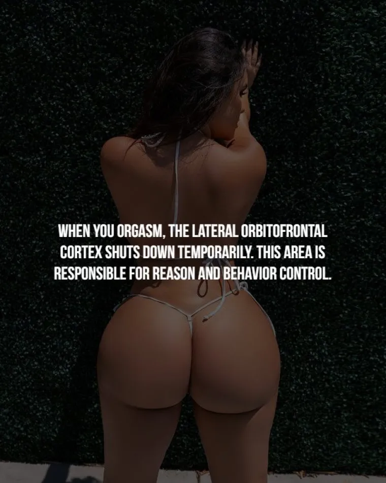 Kada doživljavate orgazam, vaš se bočni orbitofrontalni korteks privremeno isključi. Taj je dio mozga zadužen za razum i kontrolu ponašanja.