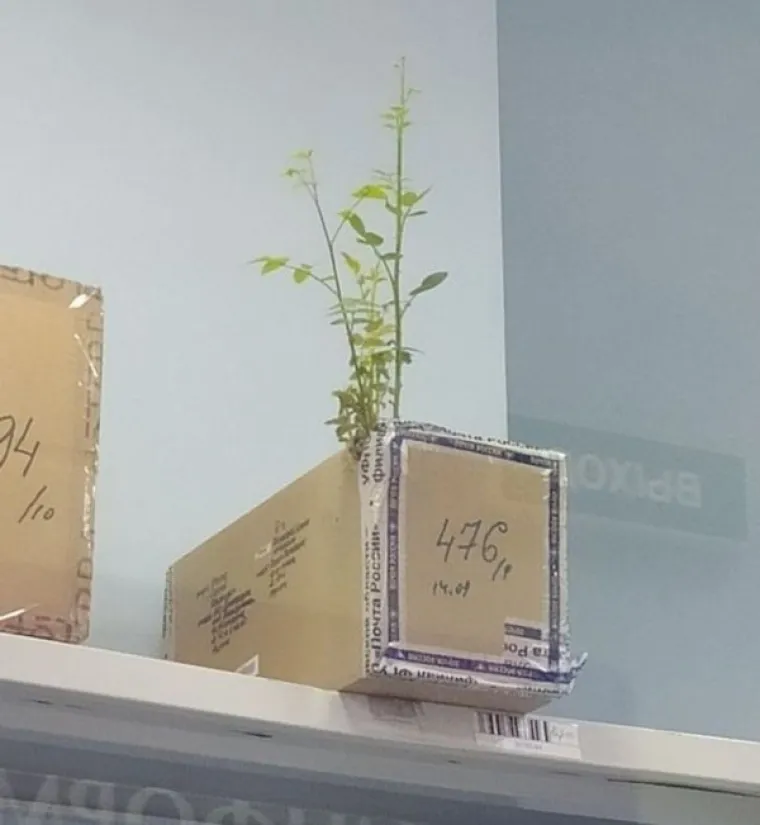 PAKET JE STIGAO, ALI PO KOJU CIJENU? Tehnički, dostava je odradila svoj posao, ali kad su otvorili kutiju pao im je mrak na oči