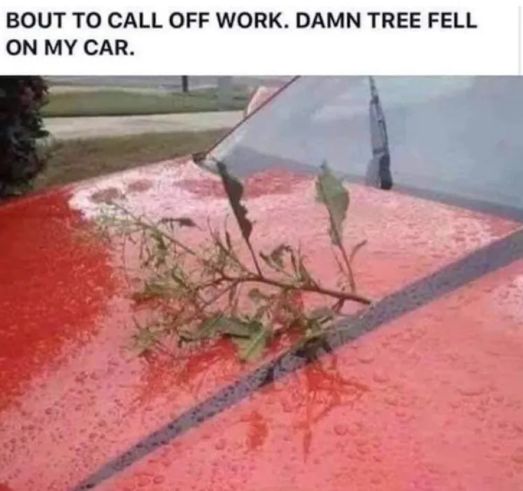 STIGAO JE KRAJ RADNOG TJEDNA I DOSTA VAM JE SVEGA? E, onda će vam ovo doći kao melem za du&scaron;u prije vikenda...