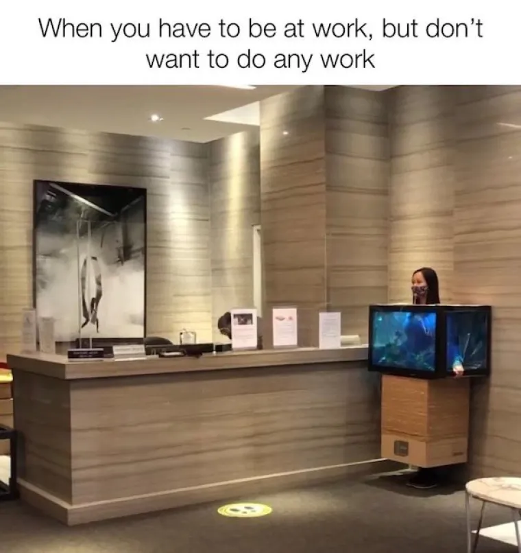 STIGAO JE KRAJ RADNOG TJEDNA I DOSTA VAM JE SVEGA? E, onda će vam ovo doći kao melem za du&scaron;u prije vikenda...