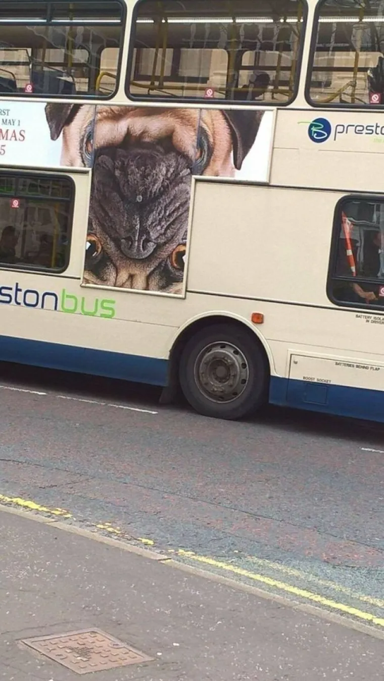 NIKADA NISTE VIDJELI OVOLIKO NESPOSOBNOSTI NA JEDNOM MJESTU: Imali su samo jedan posao i svejedno su zabrljali