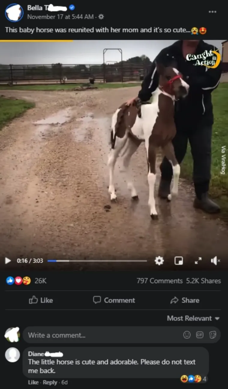 PA KAKO DA IM SE ČOVJEK NE SMIJE?! Što god objavili, penzići briljiraju na društvenim mrežama. Trebate li još dokaza?