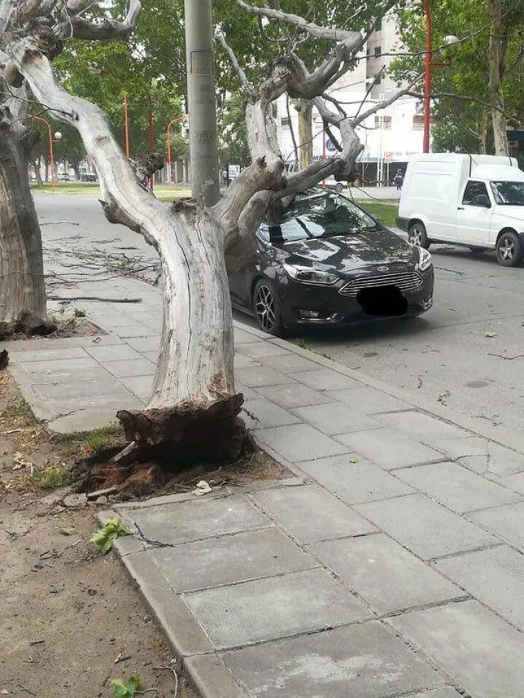 KAD TE NEĆE, ONDA TE BA&Scaron; NEĆE:  Može li ne&scaron;to pokvariti blagdane gore od zatvaranja? Ova ekipa misli da može...