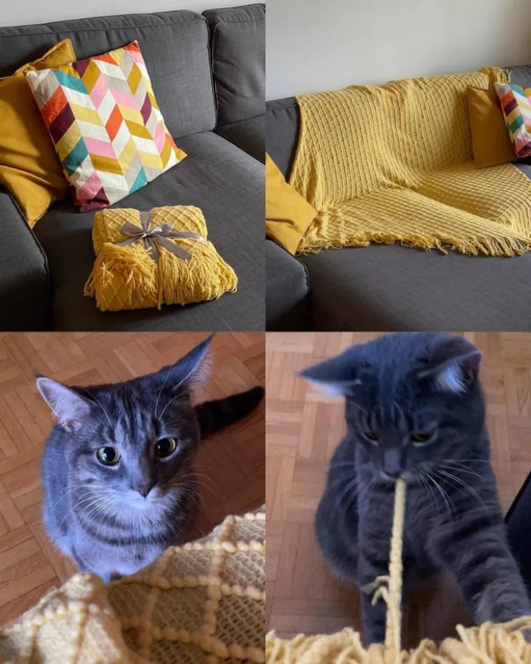 KAD TE NEĆE, ONDA TE BA&Scaron; NEĆE:  Može li ne&scaron;to pokvariti blagdane gore od zatvaranja? Ova ekipa misli da može...