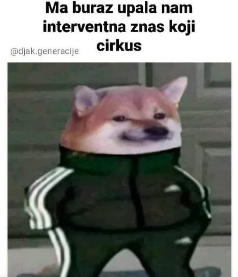 "Kakav sam ja talent bio": Ovo su trenutno najpopularniji memovi na Balkanu