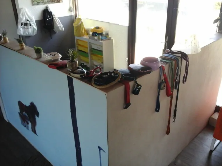 Vrtić i hotel za pse 'Veliki i mali'