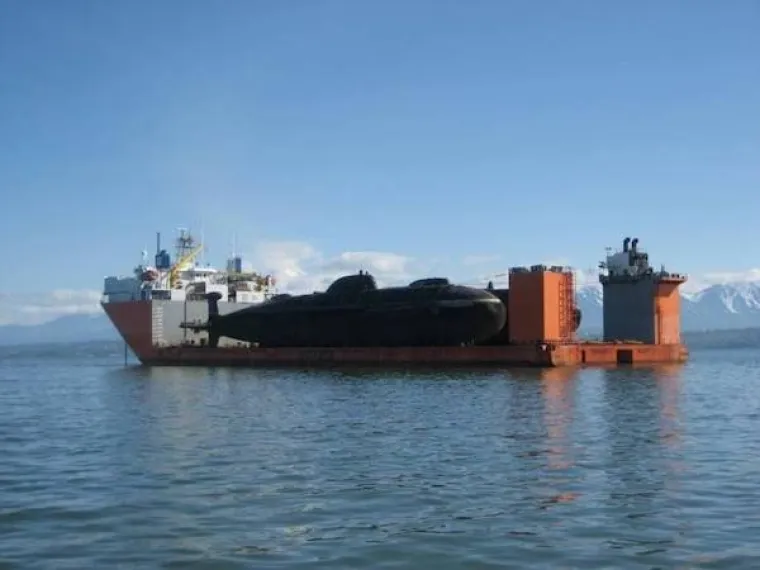 JO&Scaron; JEDNA DNEVNA DOZA NEOBJA&Scaron;NJIVIH BIZARNOSTI: Tko se udao za konja, a kome je slon poku&scaron;ao ukrasti kavu?