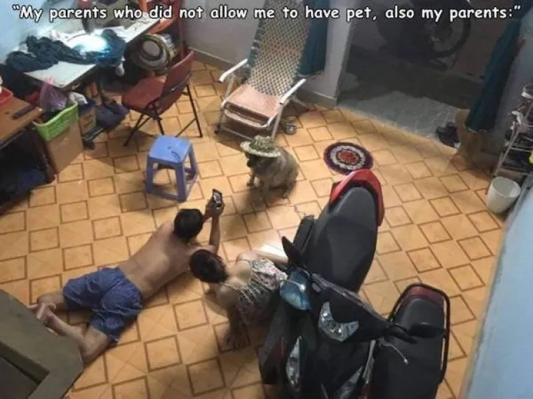 JO&Scaron; JEDNA DNEVNA DOZA NEOBJA&Scaron;NJIVIH BIZARNOSTI: Tko se udao za konja, a kome je slon poku&scaron;ao ukrasti kavu?