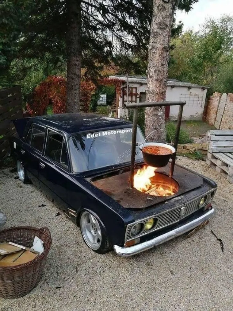 JO&Scaron; JEDNA DNEVNA DOZA NEOBJA&Scaron;NJIVIH BIZARNOSTI: Tko se udao za konja, a kome je slon poku&scaron;ao ukrasti kavu?