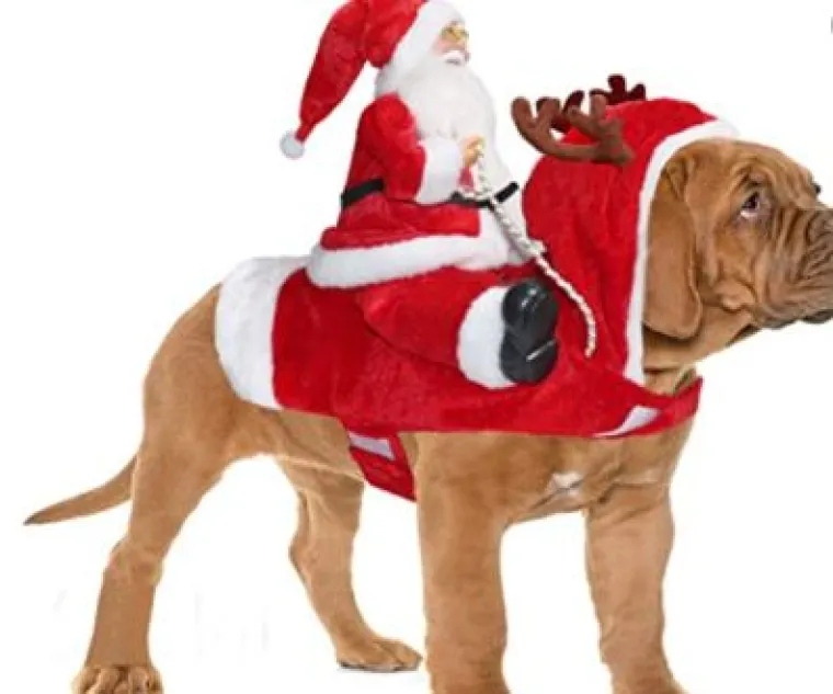 Sve veći trend: Blagdanski kostimi za va&scaron;e ljubimce pravi su hit