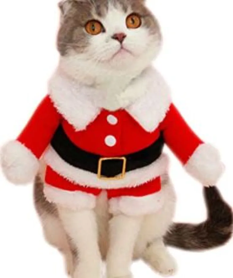 Sve veći trend: Blagdanski kostimi za va&scaron;e ljubimce pravi su hit