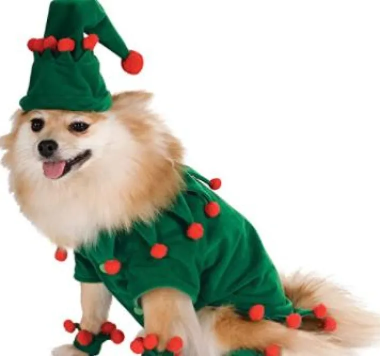 Sve veći trend: Blagdanski kostimi za va&scaron;e ljubimce pravi su hit