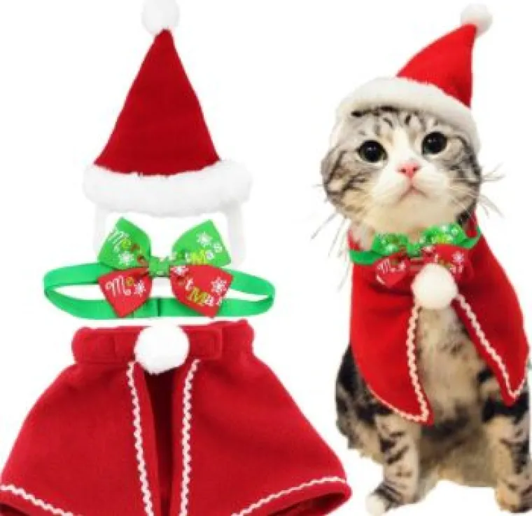 Sve veći trend: Blagdanski kostimi za va&scaron;e ljubimce pravi su hit