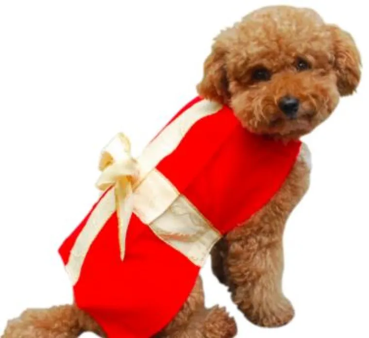 Sve veći trend: Blagdanski kostimi za va&scaron;e ljubimce pravi su hit