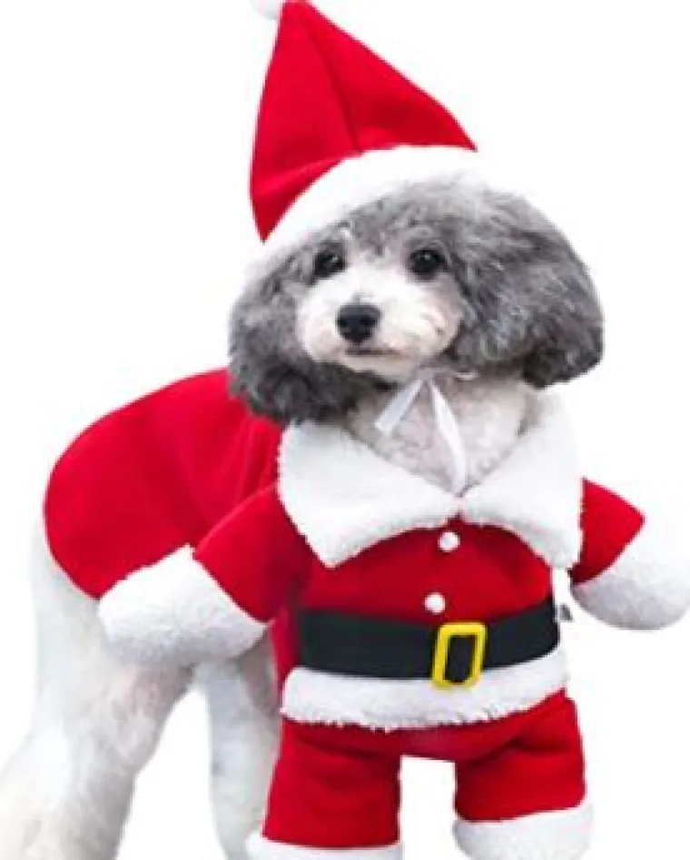 Sve veći trend: Blagdanski kostimi za va&scaron;e ljubimce pravi su hit