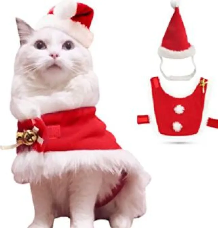 Sve veći trend: Blagdanski kostimi za va&scaron;e ljubimce pravi su hit