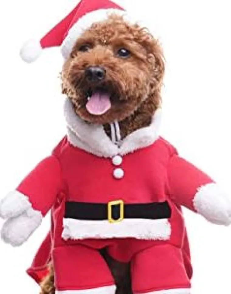 Sve veći trend: Blagdanski kostimi za va&scaron;e ljubimce pravi su hit