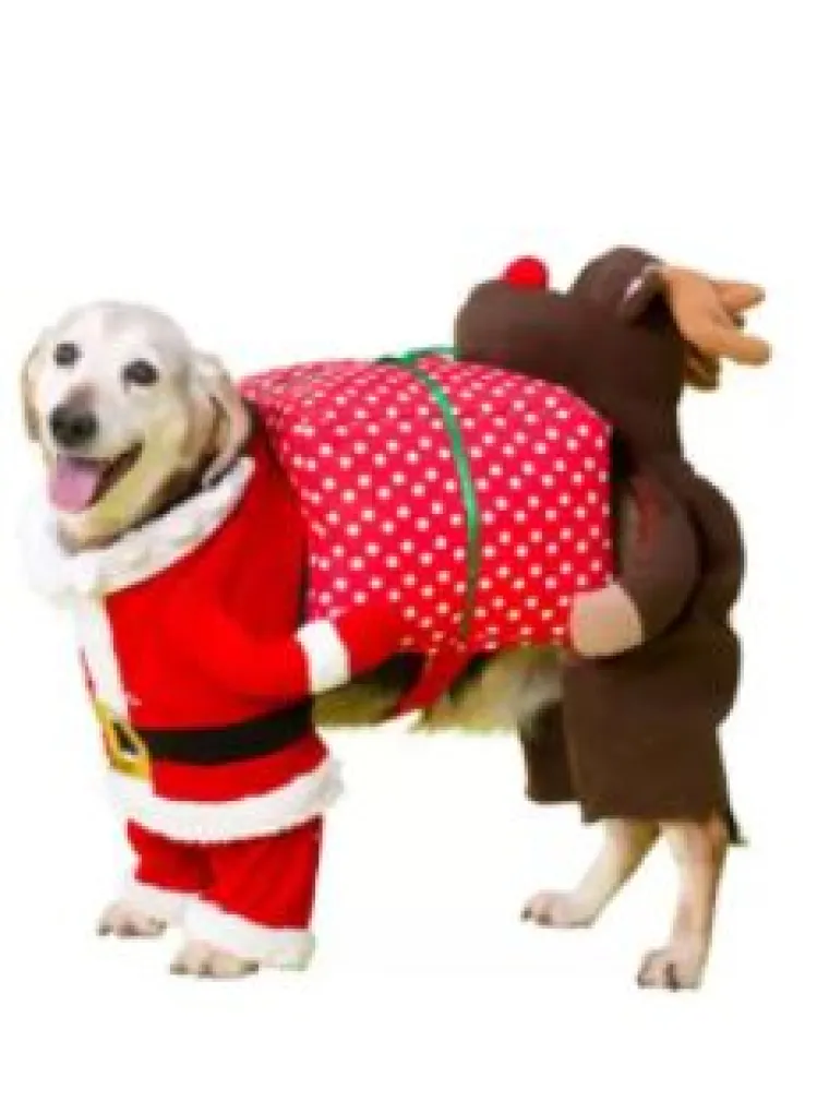 Sve veći trend: Blagdanski kostimi za va&scaron;e ljubimce pravi su hit