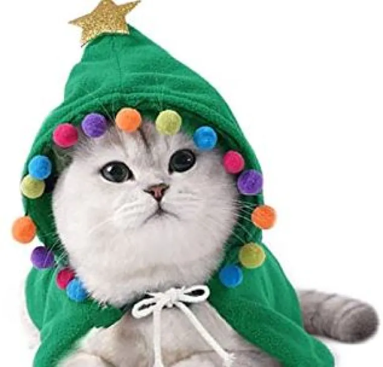 Sve veći trend: Blagdanski kostimi za va&scaron;e ljubimce pravi su hit