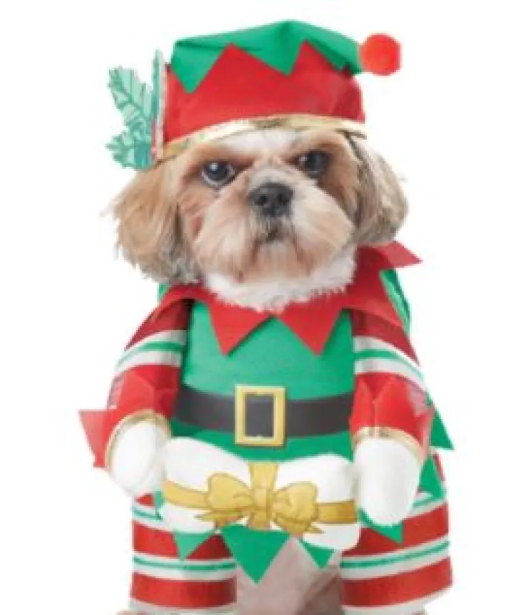 Sve veći trend: Blagdanski kostimi za va&scaron;e ljubimce pravi su hit