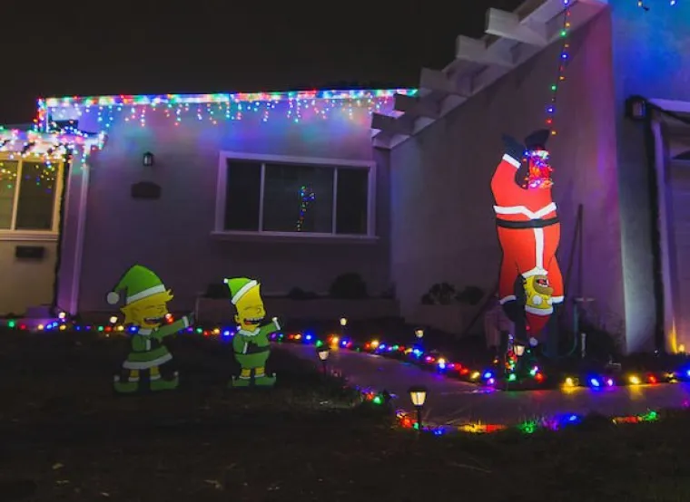 KAKVA GODINA, TAKVI I UKRASI: Ova 2020. bila je sve samo ne obična, pa nije ni čudo da su i dekoracije malo pomaknute