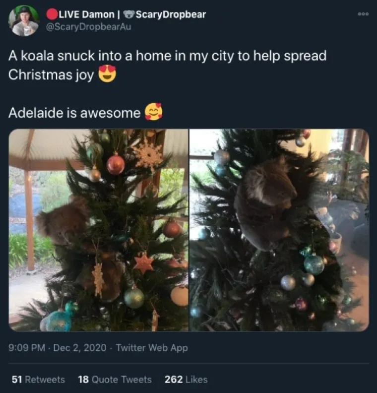 U AUSTRALIJI JE SVE NAOPAKO, PA TAKO I BOŽIĆ: 'Djed Božićnjak surfa i ima klokane'