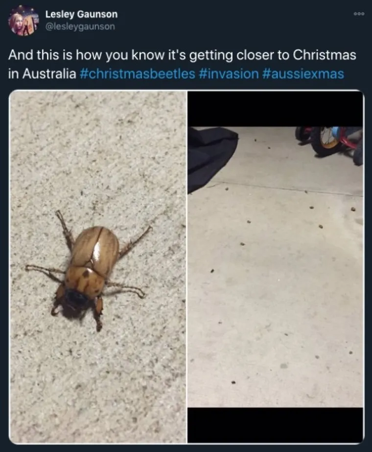 U AUSTRALIJI JE SVE NAOPAKO, PA TAKO I BOŽIĆ: 'Djed Božićnjak surfa i ima klokane'