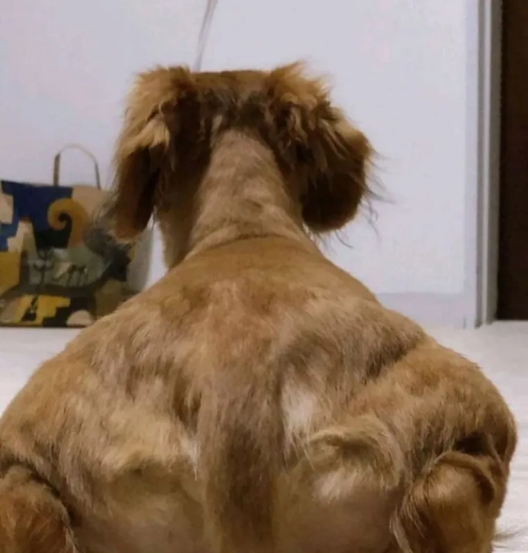 LJUDI, PA &Scaron;TO SE TO, POBOGU, OVDJE DOGAĐA?! Ove fotografije ćete morati dva puta promotriti. Ako ne i vi&scaron;e...