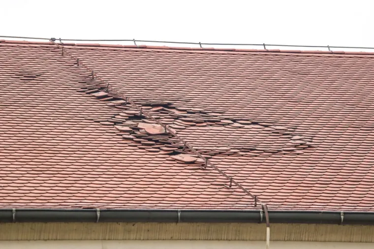 Photo: Luka Stanzl/PIXSELL