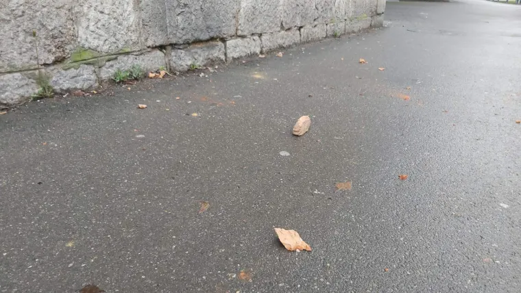 Hrvatsku je pogodio potres od 6,2 stupnja Richtera: Građani su iza&scaron;li na ulice