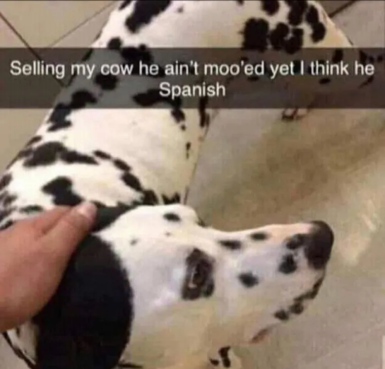 MASKA ZA, HM, 'NATJECANJE U JEDENJU HRENOVKI'? Jedina stvar bizarnija od onoga &scaron;to se sve prodaje je to - &scaron;to netko to i kupuje...