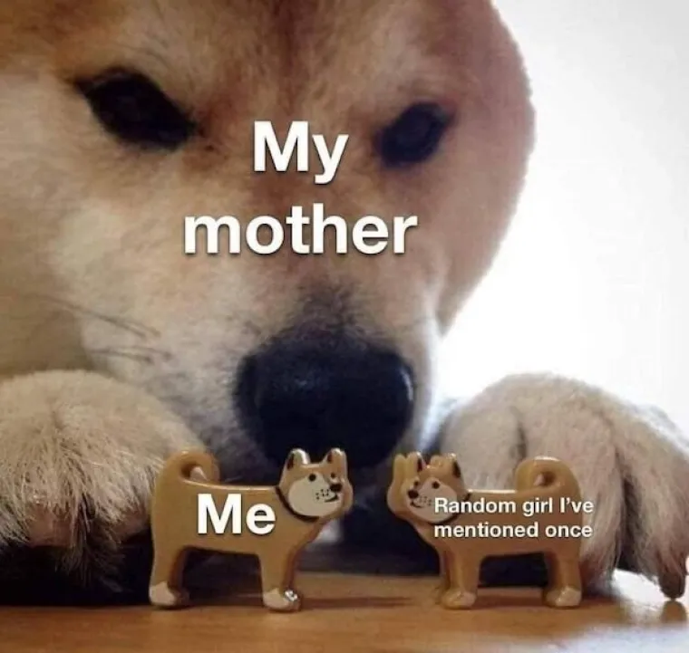 BLAGDANI OBIČNO TE&Scaron;KO PADAJU SAMCIMA: Zasladite svoj usamljeni život memovima koji točno znaju kroz &scaron;to prolazite