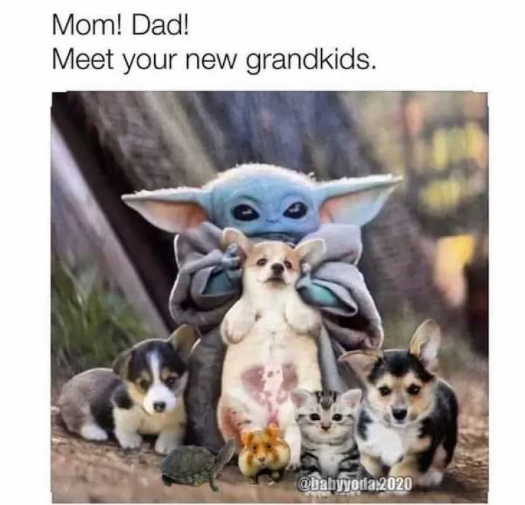 BLAGDANI OBIČNO TE&Scaron;KO PADAJU SAMCIMA: Zasladite svoj usamljeni život memovima koji točno znaju kroz &scaron;to prolazite