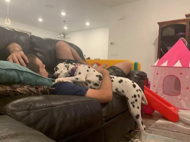 ONI MOGU BAREM MALO OLAK&Scaron;ATI DAN: I u ovo vrijeme nastavljaju s nepodop&scaron;tinama, a &scaron;to bi drugo i radili